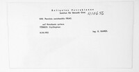 Image Associated With the Occurrence